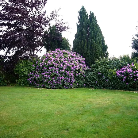Daire Spacious Near The Teutoburg Forest
